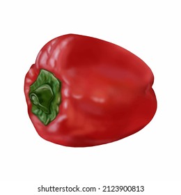 Red bell bell pepper. Realistic vector illustration of the vegetable. White background. Close up.Hand drawn. Food. Sticker. Collage. Web design. 
