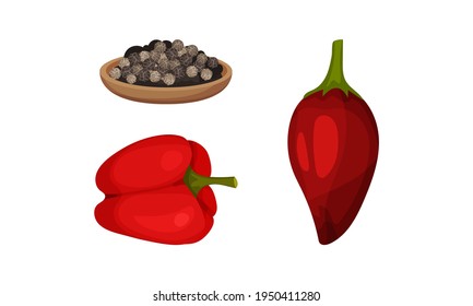 Red Bell Pepper as Ripe Vegetable and Organic Food with Peppercorn Vector Set