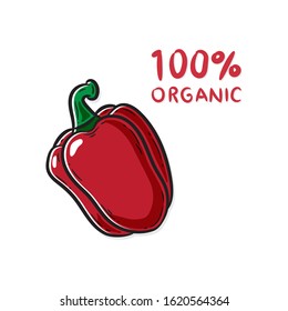 Red bell pepper vector illustration. Sweet pepper (paprika) on white background graphic design.
