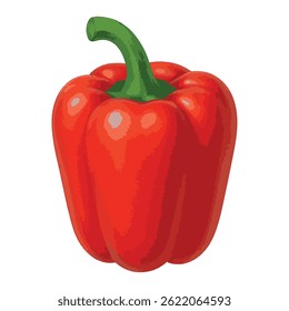 Red bell pepper vector illustration isolated on white background - fresh sweet vegetable for organic food design, vegan cooking projects, grocery labels, healthy eating concepts etc.