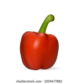 Red bell pepper. The whole vegetable. Vector.