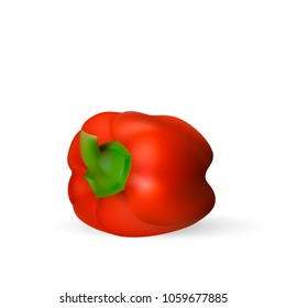 Red bell pepper. The whole vegetable. Vector.