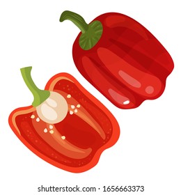 Paprika mit roter Glocke. Vektorillustration. EPS10