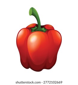 red bellpepper vector illustration isolated on white background