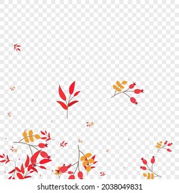 Red Berries Background Transparent Vector. Leaf Silhouette Template. Yellow Leaves November. Image Illustration. Foliage Border.