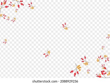 Red Berries Background Transparent Vector. Herb Elm Template. Yellow Leaves Isolated. Fly Frame. Leaf Dry.