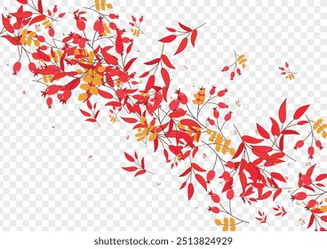 Red Berries Background Transparent Vector. Foliage Label Frame. Pink Leaves Tree. Organic Set. Herb Sale.