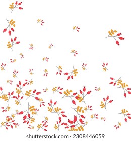 Red Berries Background White Vector. Herb Vibrant Illustration. Pink Foliage Border. Rowan Design. Leaf Gradation.