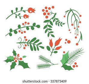 Red Berries  Branches Fir   Leaves  Flat Vector Illustration Set