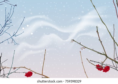 Red berries and branches of mountain ash on background of winter sky. Snowfall winter sky landscape. Vector nature illustration
