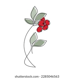 Red berries brunch vector one line continuous drawing illustration. Hand drawn linear silhouette icon. Minimal design element for print, banner, card, wall art poster, brochure, postcard.