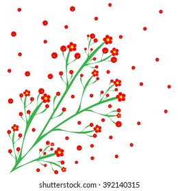 Red berries bunch of viburnum isolated on white.