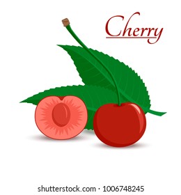Red berries of a cherry with a twig, cut with a stone and green leaves on a white background. Design for labels, tags, banners, posters, icon. Vector illustration.