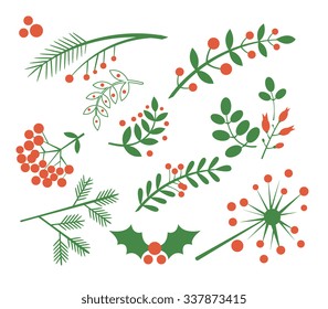 Red Berries, Fir and Leaves. Flat Vector Illustration Set