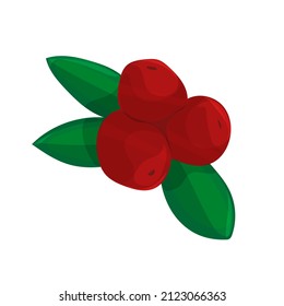 Red berries with green leaves cartoon isolated illustration on white