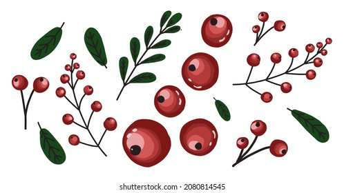 Red berries isolated on white. Cranberry. Elements for creating patterns.
