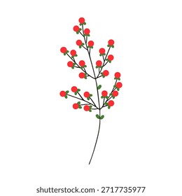Bayas rojas y ramas de hojas. Hipérico, delicada primavera, planta ornamental. Hierba de San Juan, elemento botánico. Decoración de Naturaleza. Ilustración vectorial plana aislada sobre fondo blanco
