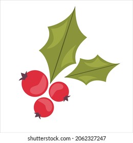 Red berries and leaves of holly isolated on white background.Christmas symbol for decoration. Vector illustration