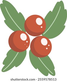 red berries on a branch with leaves on a transparent background