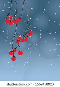 Red berries on a branch in winter. Vector illustration