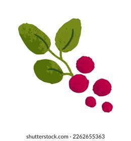 Red berries on twig with leaf. Cranberries plant, twig with leaves. Ripe fresh natural fruits. Healthy vitamin organic food, eating. Flat vector illustration isolated on white background