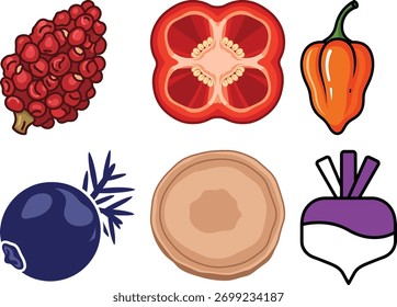 Bayas rojas rodaja de pimiento rojo rodaja de pimienta naranja rodaja de madera de arándano Vector de nabo púrpura