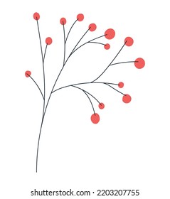 red berries plant over white