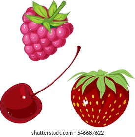 Red berries set