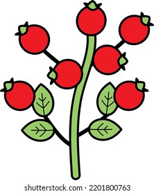 red berry with leaf Concept, cotoneaster franchetii Vector Icon Design, Autumn or Fall activities Symbol, Dry weather Sign, Temperate climates Elements Stock illustration
