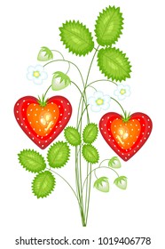 Red berry in the shape of heart. Mature sweet strawberry. The present is in love with Valentine's Day. Vector illustration.
