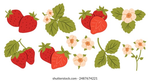 Red Berry Strawberry and a Half of Strawberry. Flat Set Flower, Petal, Strawberry Isolated on White Background