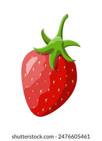 Red berry strawberry isolated white. Sweet fruit. Fresh strawberry with green leaves. Organic healthy food. Vegetarian nutrition. Vector illustration in flat style