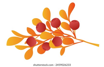 Red berry twigs with orange leaves in flat design. Fall cranberry branch. Vector illustration isolated.