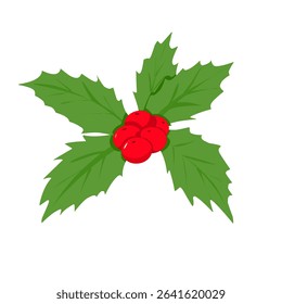 Red berry vector. Holly Berry Mistletoe Plant illustration. Traditional Holiday Decoration Vector Illustration.