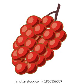 Vector de Berry Rojo, Perfecto para ilustración, icono, logotipo, diseño, patrón, Etc.