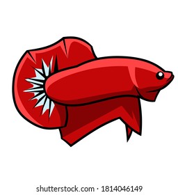 Red Betta Fish and so beauty