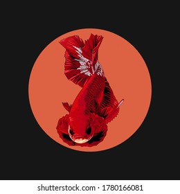 red betta fish that looks real