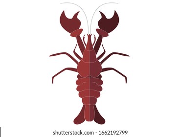 Red big lobster on white empty background