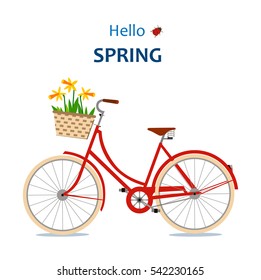 The red bike with daffodils. Hello spring. Vector illustration.