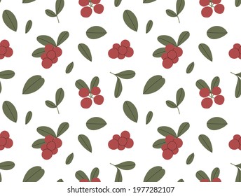 Red bilberry or lingonberry vector seamless pattern with branches, leaves and berries color hand drawn illustration. Isolated on white background.