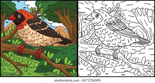 Red Billed Quelea Bird Coloring Page Illustration