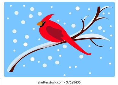 red bird