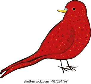 Red bird