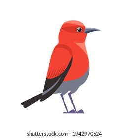 Red bird Apapane Hawaiian Honeycreeper. Exotic Rare bird of the critically endangered Apapane Endemic Bird of the Hawaiian. Cartoon flat vector illustration isolated on white background.