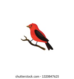 Red bird cartoon vector on a white background