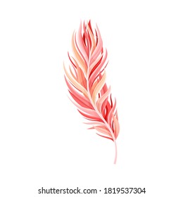 Red Bird Feather with Nib as Avian Plumage Vector Illustration