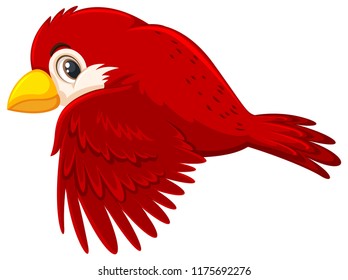 A red bird flying illustration