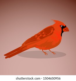 red bird icon design, red bird isolated design