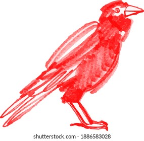 the red bird isolated on white