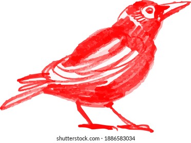 el pájaro rojo aislado en blanco
